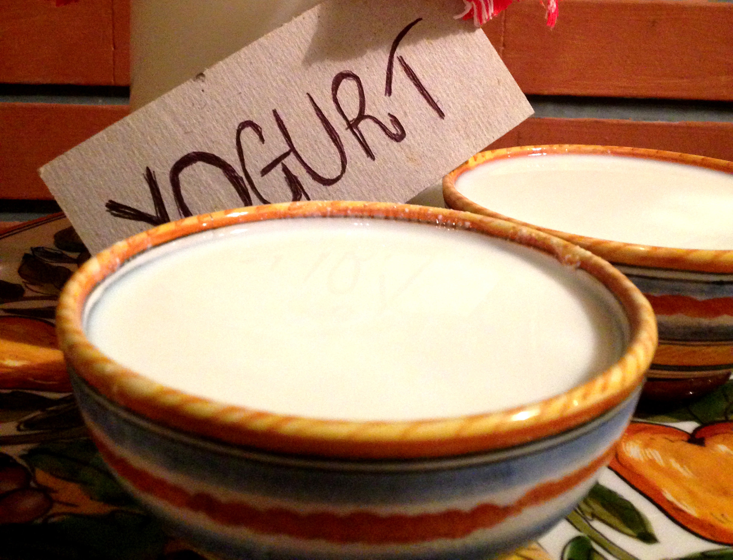 yogurt fatto in casa facile da fare con Dolci Senza Burro