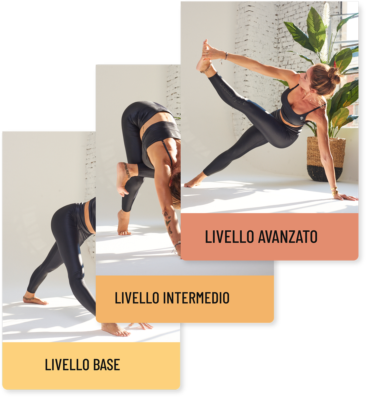 livelli